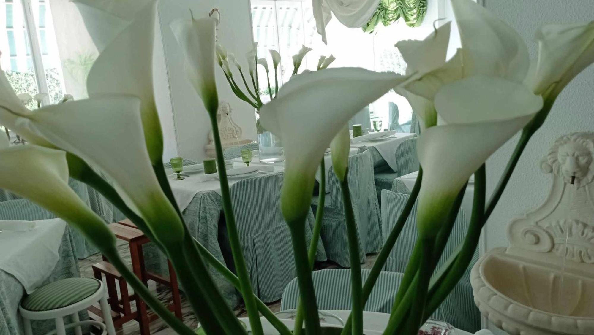 Eveline Portosole Hotel Σαν Ρέμο Εξωτερικό φωτογραφία